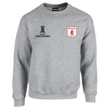 BUZO SACO CREWNECK DEPORTIVO AMERICA DE CALI COPA LIBERTADORES