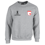 BUZO SACO CREWNECK DEPORTIVO INDEPENDIENTE SANTA FE COPA LIBERTADORES
