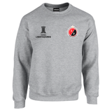 BUZO SACO CREWNECK DEPORTIVO CUCUTA COPA LIBERTADORES