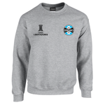 BUZO SACO CREWNECK DEPORTIVO GREMIO BRASIL COPA LIBERTADORES