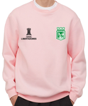 buzo hoodie crewneck deportivo atletico nacional copa libertadores